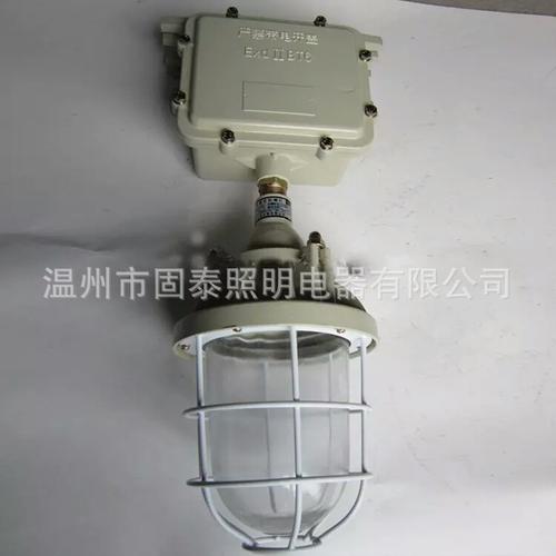 BAd52-100W防爆灯 专为防爆工厂照明设计的可靠解决方案