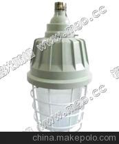 BD62-250/400隔爆型防爆灯 安全之光，品质之选