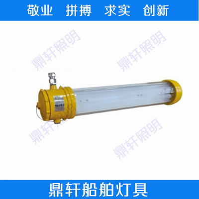 船用防爆LED照明灯具DLEL220-2*10W铝合金 安全与效能的双重保障